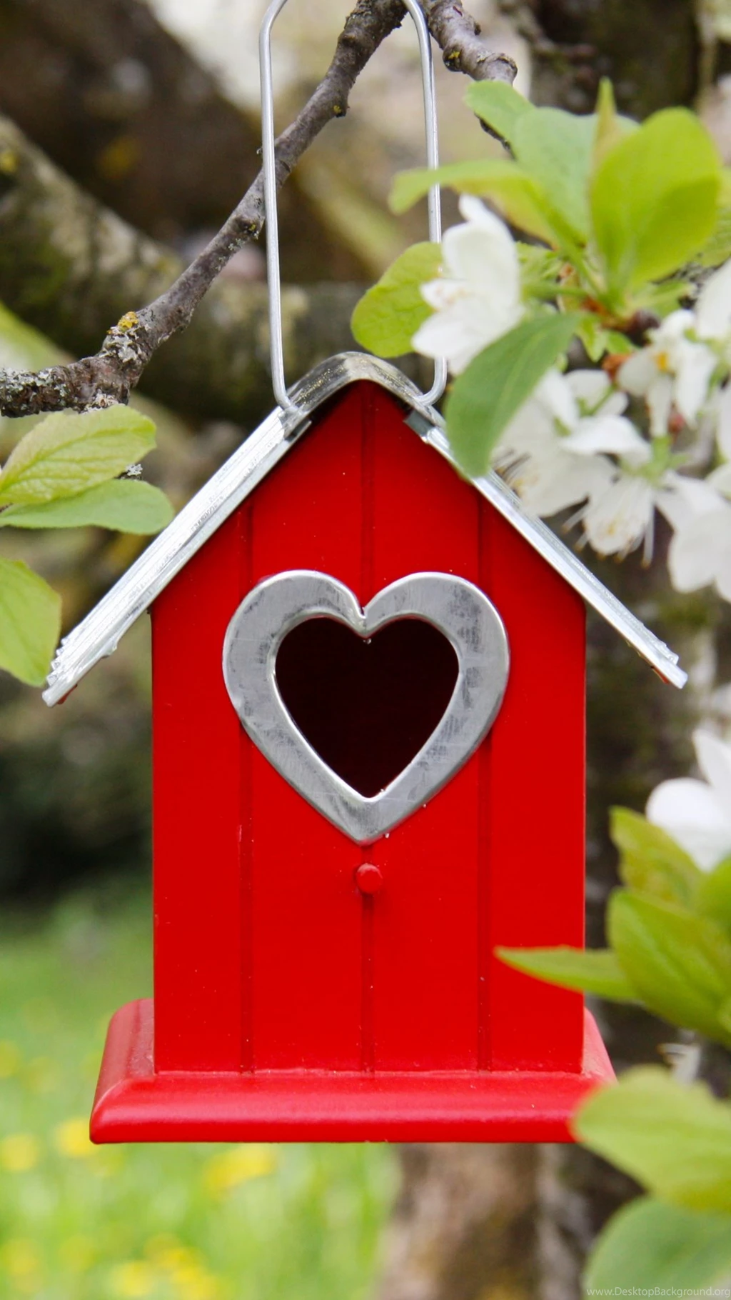 Tree Flowers Branch Birdhouse iPhone 6 Wallpapers Download