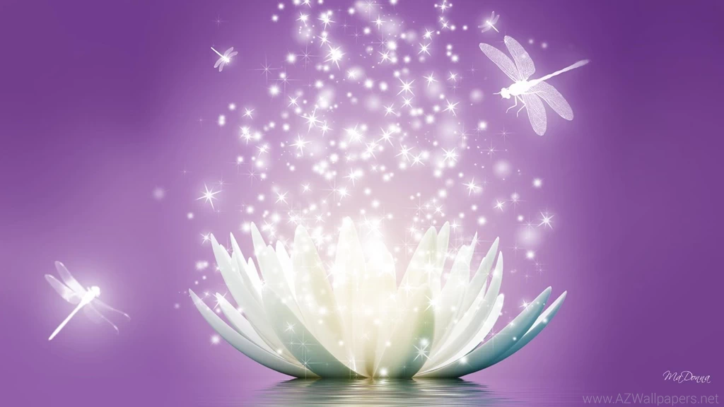 Lotus Flower Sparkle Wallpaper,reflection HD Wallpaper,stars HD ...