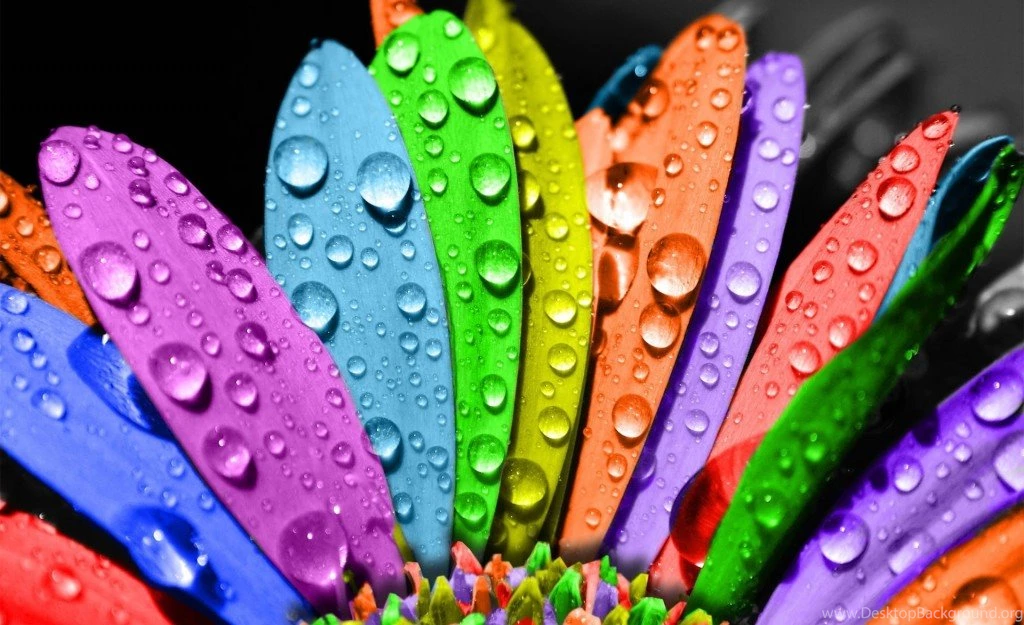 Index Of /wp content/uploads/2012/10