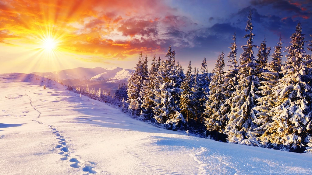 Stunning Winter Backgrounds
