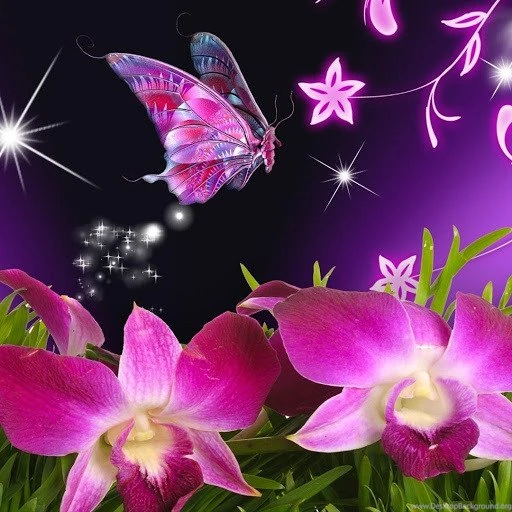 3D Butterfly Magic Wallpapers Download 3D Butterfly Magic ...