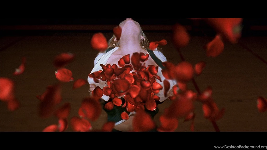 Perfumes & Cosmetics: American Beauty In Austin