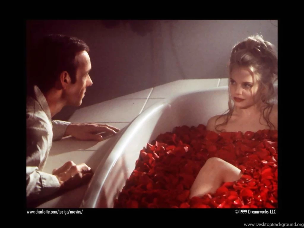 American Beauty American Beauty Wallpapers (67907) Fanpop