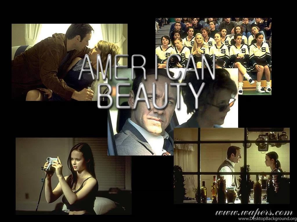 American Beauty American Beauty Wallpapers (442165) Fanpop