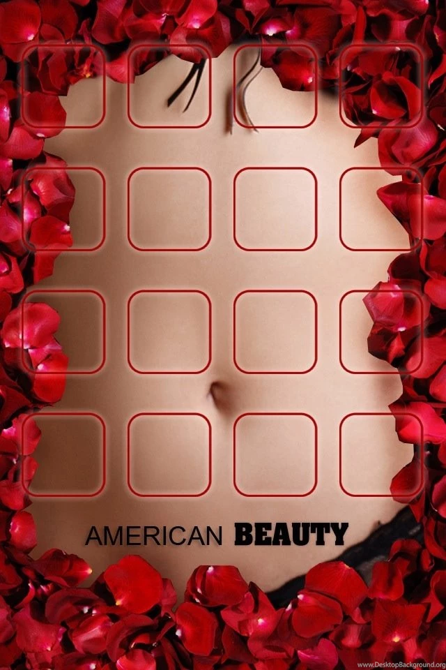 American Beauty Dock Creative Designs Wallpapers For iPhone ...