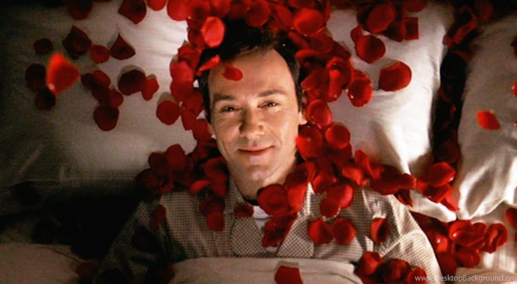 1600x882px American Beauty