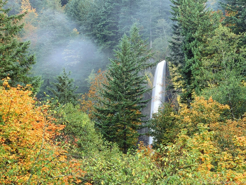 Waterfall Wallpapers