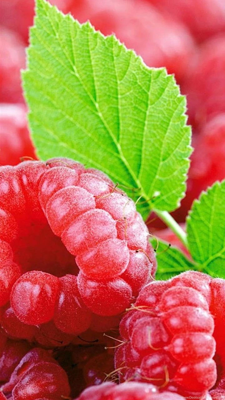 Fruit Moto G Wallpapers HD 89, Moto Wallpapers, Motorola Wallpapers