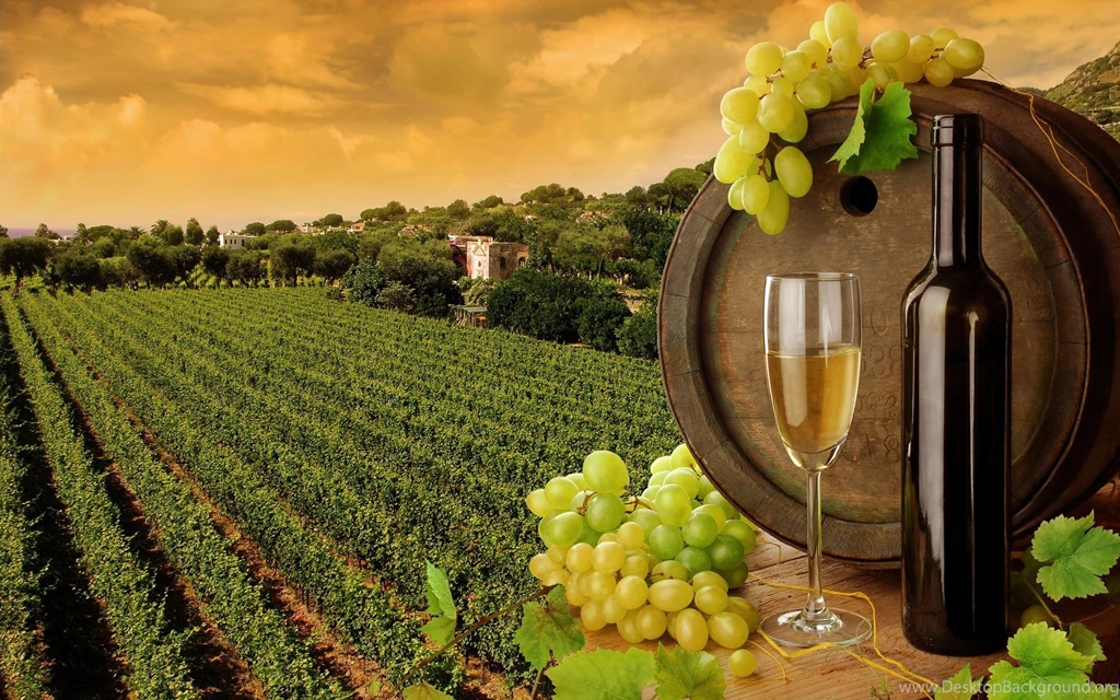 237 Wine HD Wallpapers