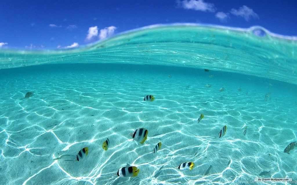 Www.hdwallpapery.com Free Wallpapers Page 1