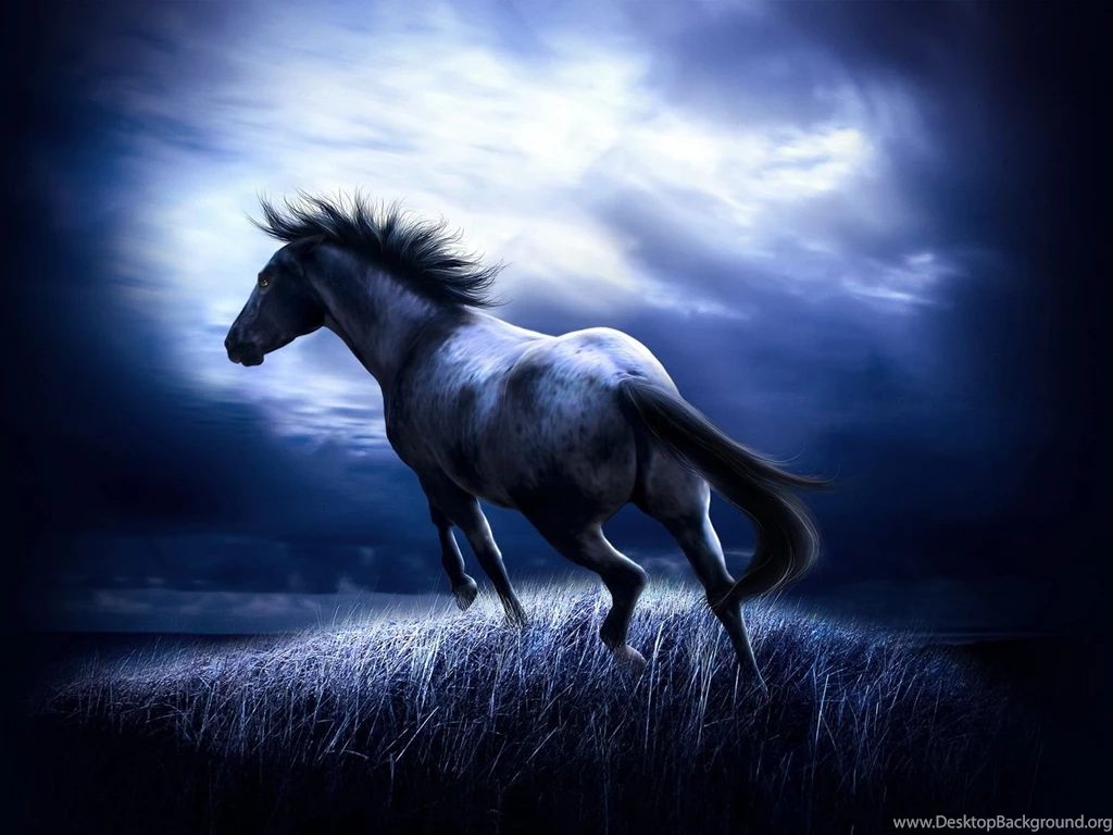 Free Wallpapers 533 HD Wallpapers