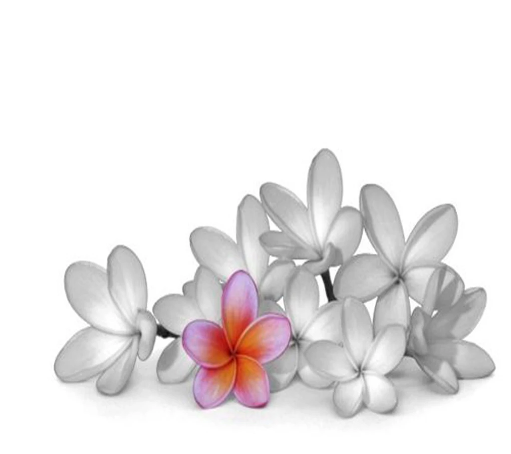 Zen Nice Wallpapers Free Download