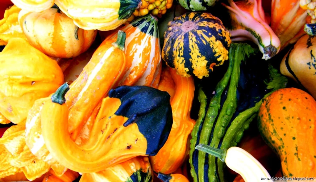 Fall Leaves And Pumpkin Wallpapers