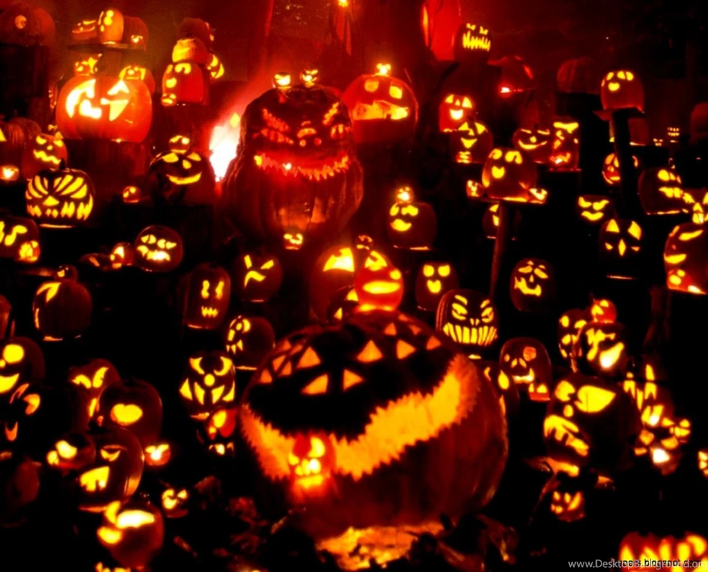 Pumpkin Wallpapers Widescreen