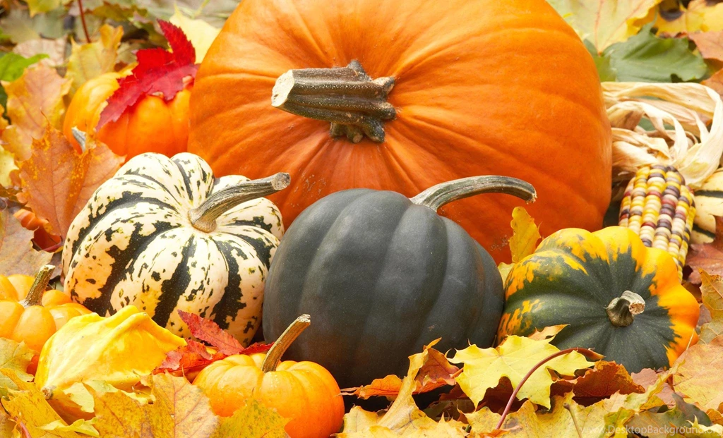 Autumn Pictures With Pumpkins
