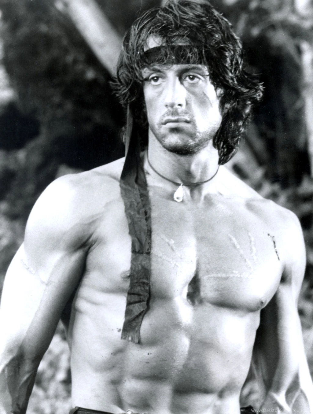 Rambo: First Blood Photo, Pics, Wallpapers Photo