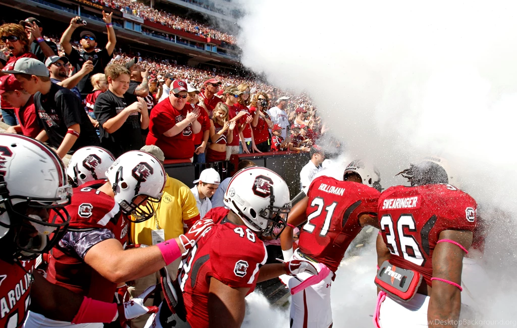 Williams Brice, Gamecocks Make "Official Best Of" South Carolina ...