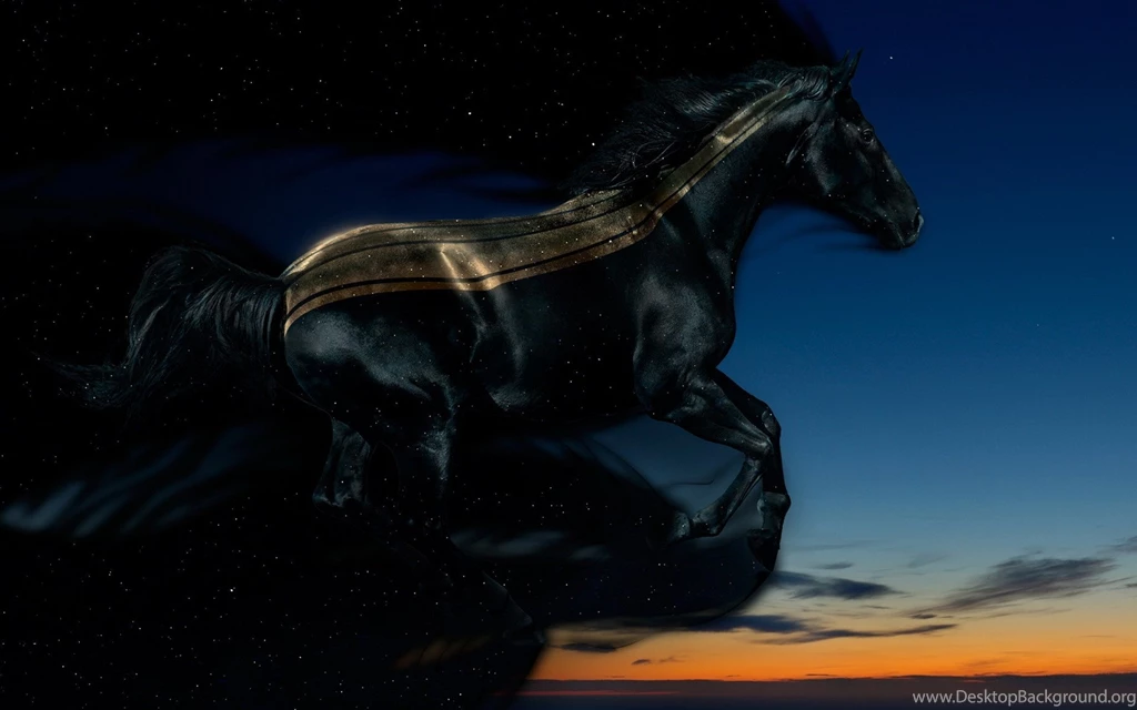Black Horse Wallpapers Full HD Wallpapers Search
