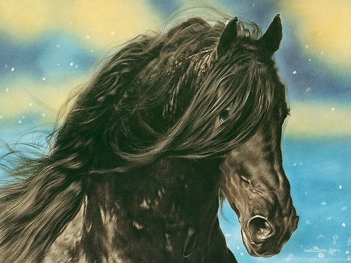 Black Horse Lesley Harrison Horse Paintings Wallpapers ...