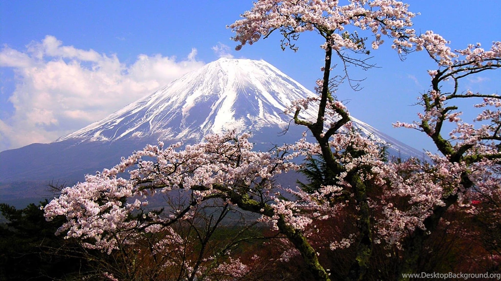 Mount Fuji Landscapes Mountains Wallpapers (