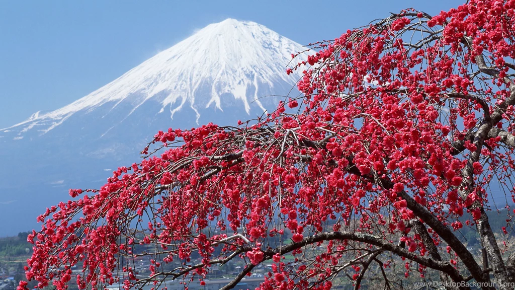 Download Wallpapers 3840x2160 Mountain, Fuji, Peak, Snow covered ...