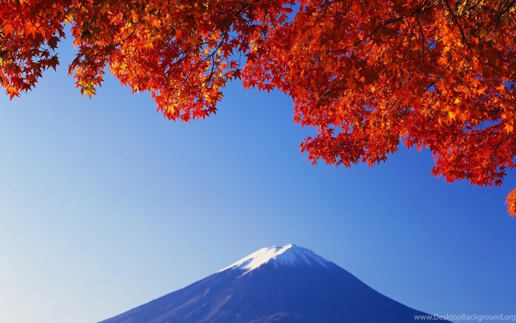 Japan, Fuji, Mountain, Red Leaves 2560x1600 Wallpapers ImgPrix