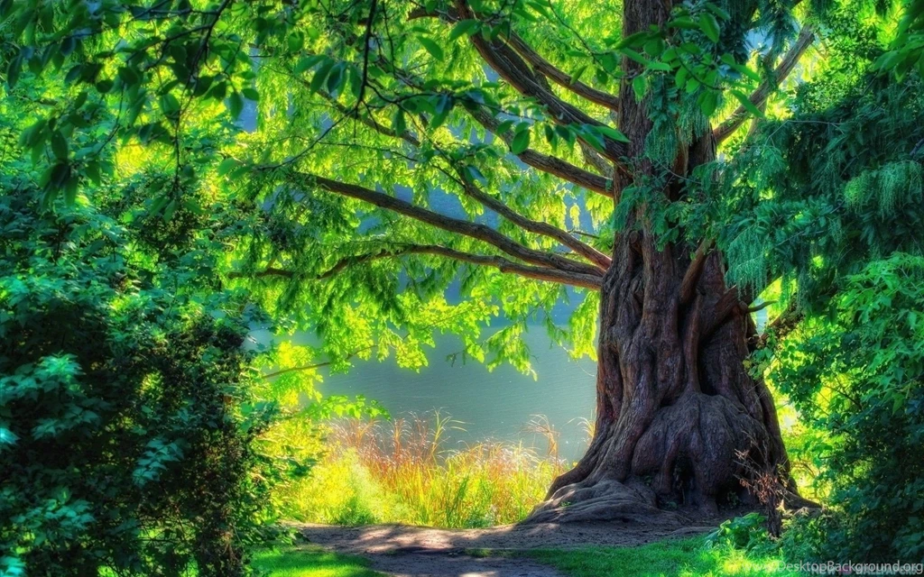 Nature Wallpapers   HD Desktop Backgrounds   Page 33