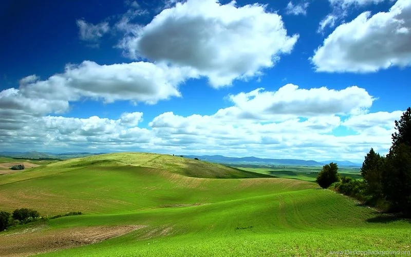 Field Green WILD AND WIDE – Nature Fields HD Desktop Wallpapers
