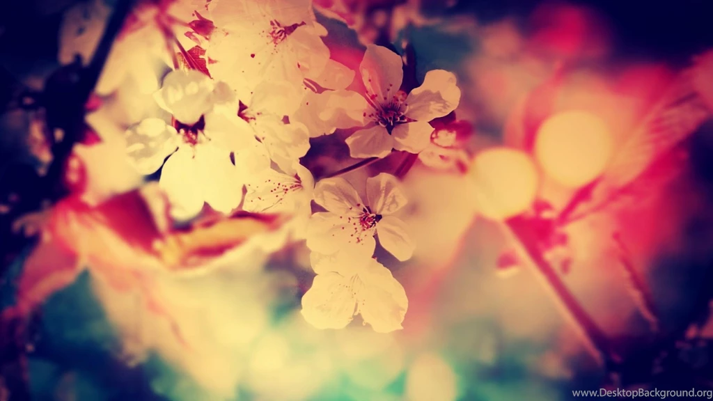 Desktop Retro Flowers Backgrounds 3d Hd Pictures.
