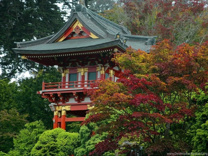 Garden House Japanese House – Architecture Houses HD Desktop Wallpapers