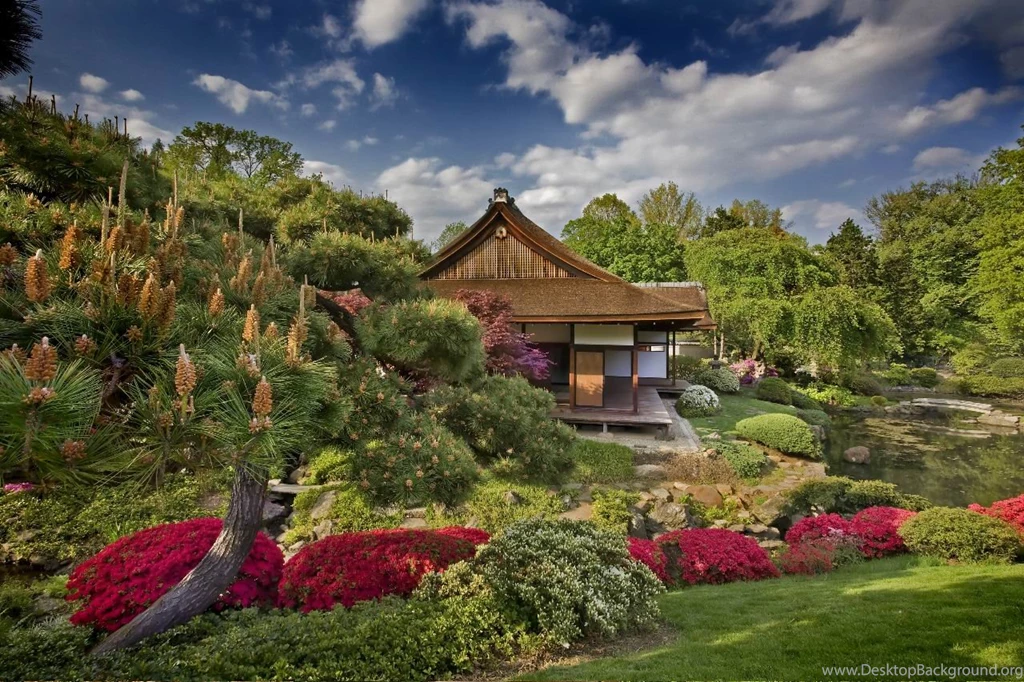 Cool Japanese Garden With Artistic Design Ideas