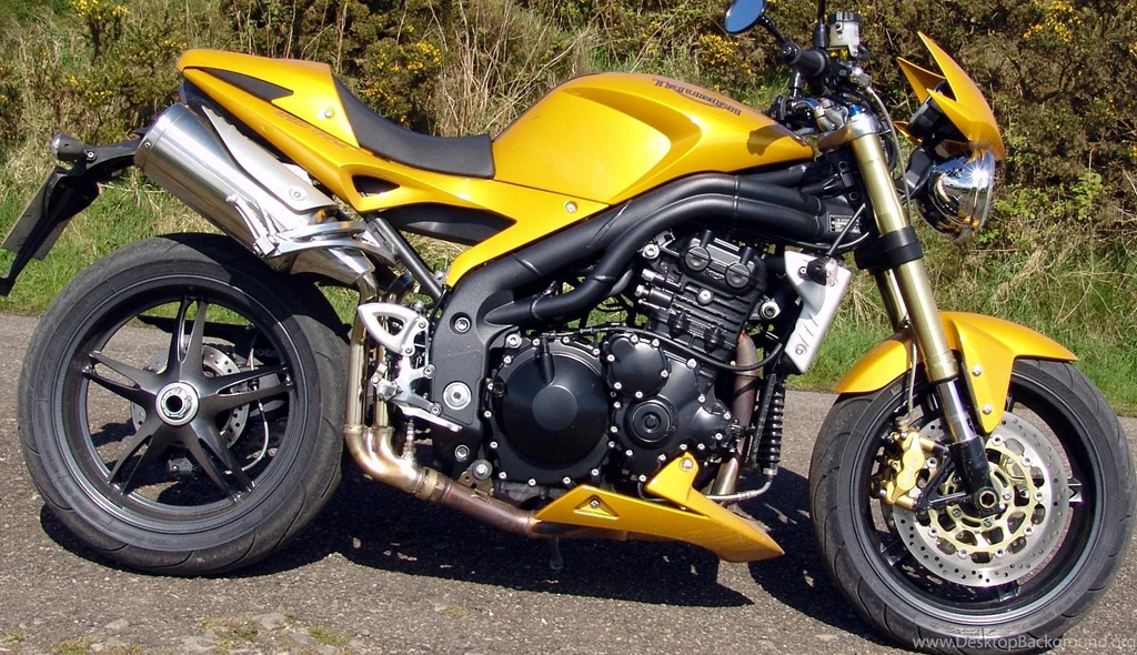 Triumph Speed Triple Picture