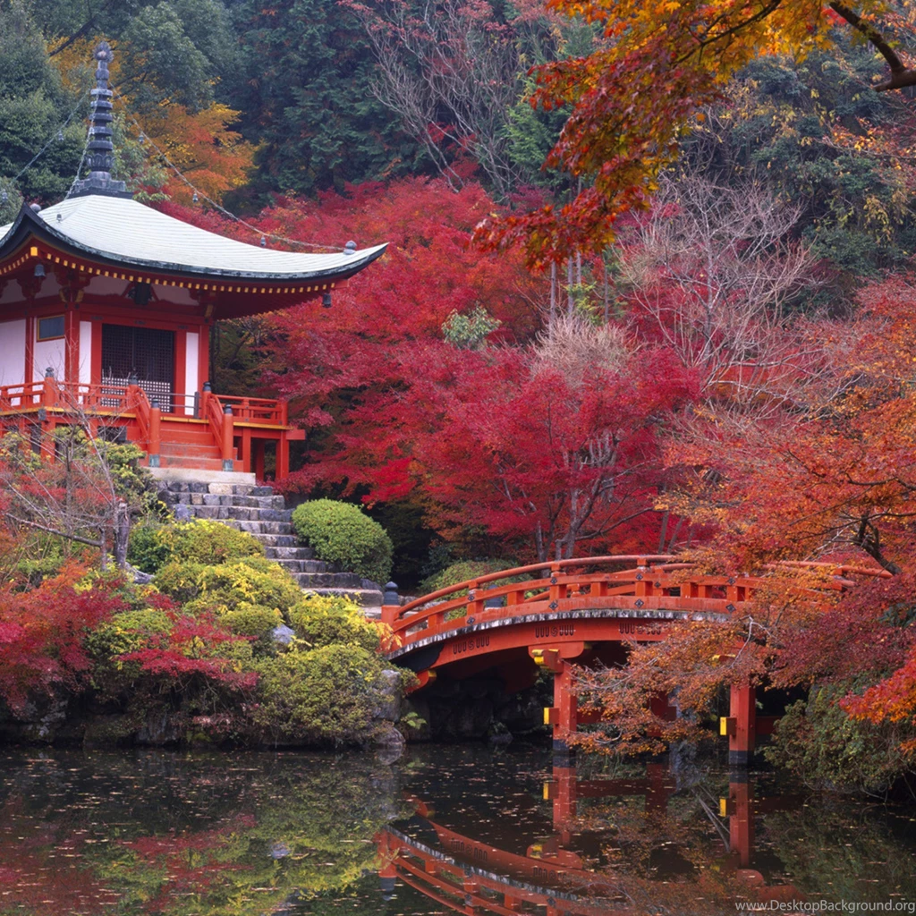 Wallpapers Download 2524x2524 Japanese House And Garden Autumn
