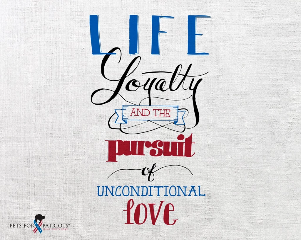 Patriots Wallpapers High Quality C2Y » WALLPAPERUN.COM