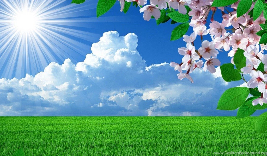 Spring Nature Wallpapers High Resolution