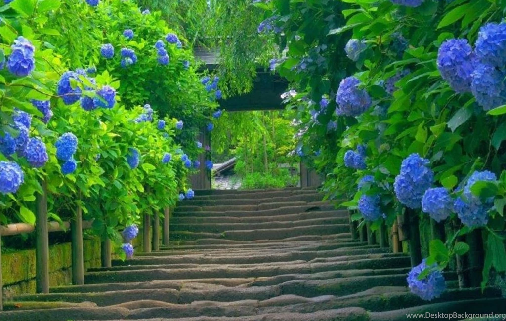 View, Amazing Landscape, Wallpapers Of Nature, Mac Desktop Images ...