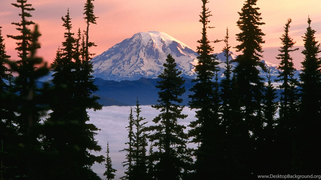 Mount Rainier Wallpapers Wallpapers Cave