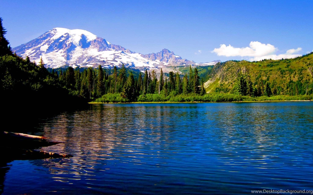 Mt Rainier (