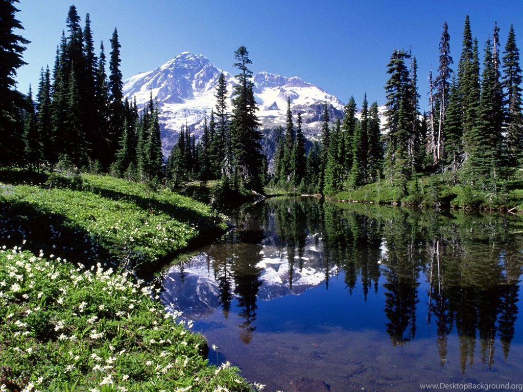 Mount Rainier Desktop Wallpapers & Backgrounds HD Pics