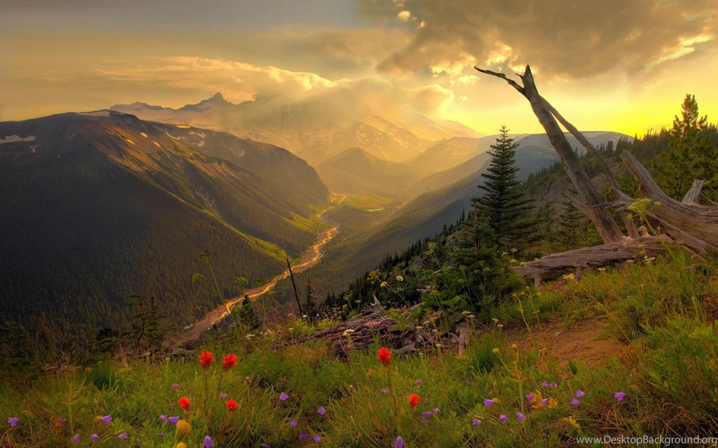 Mount Rainier Beautiful Mountain Scenery Wallpapers HD