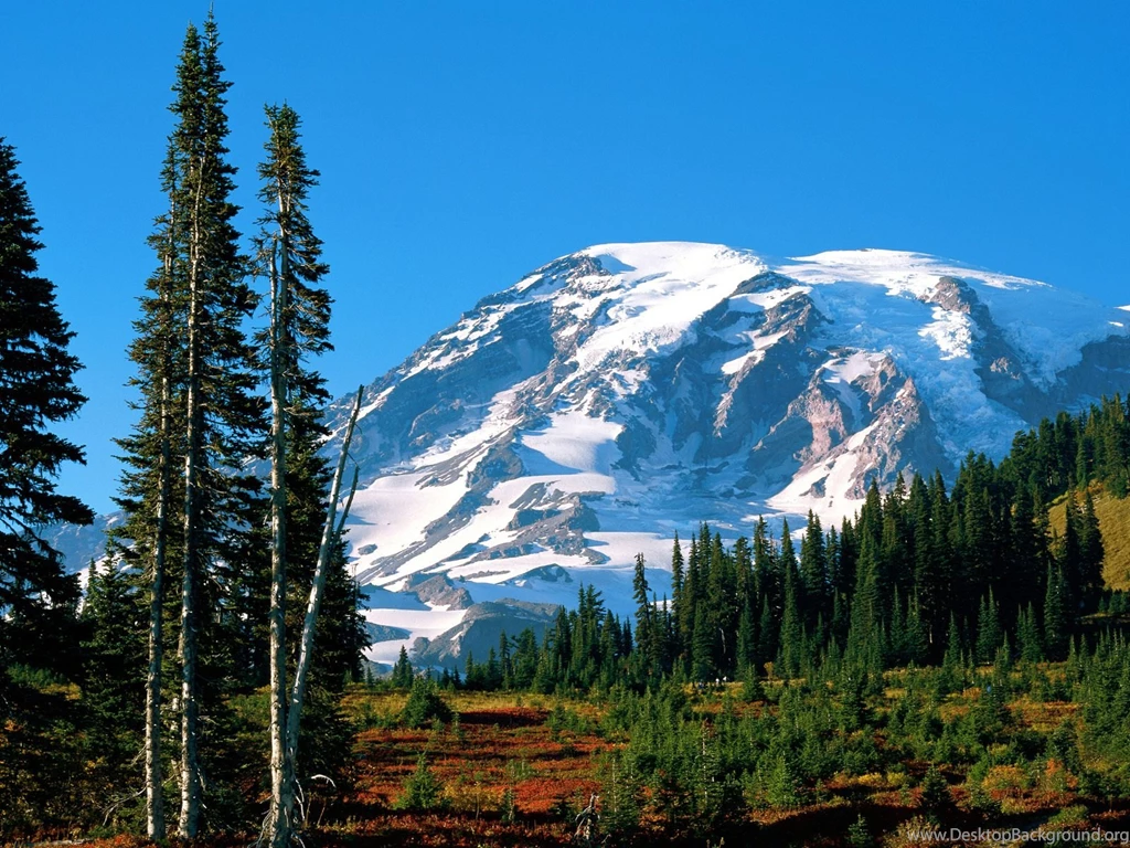Mount Rainier Desktop Wallpapers & Backgrounds HD Pics