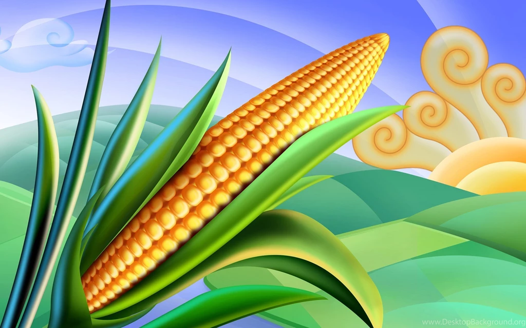 Psd Food Illustrations 3 Corn Clipart Corn Picture Wallpapers ...