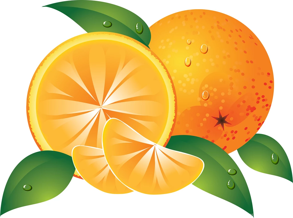 Download Wallpaper: Clipart, Oranges, Photo, Wallpapers For Desktop