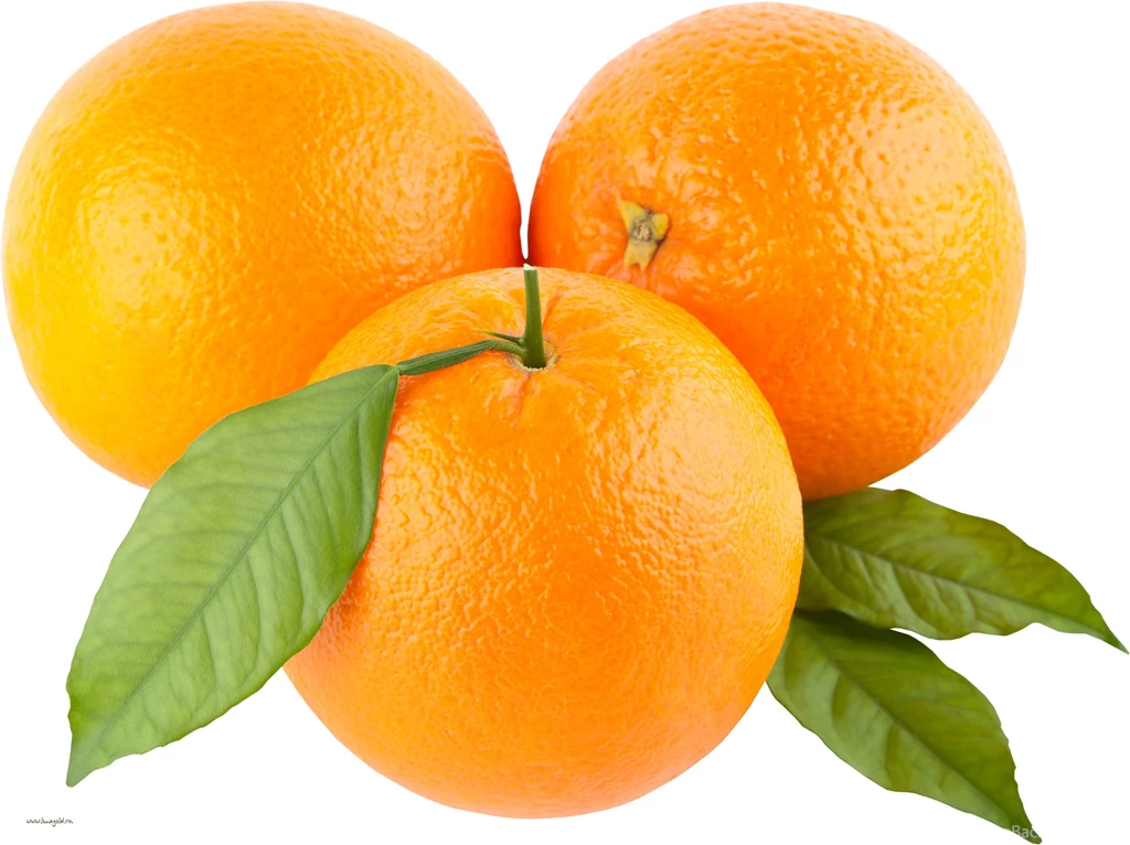 Download Wallpaper: Oranges, Photo, Wallpapers, Clipart, Orange