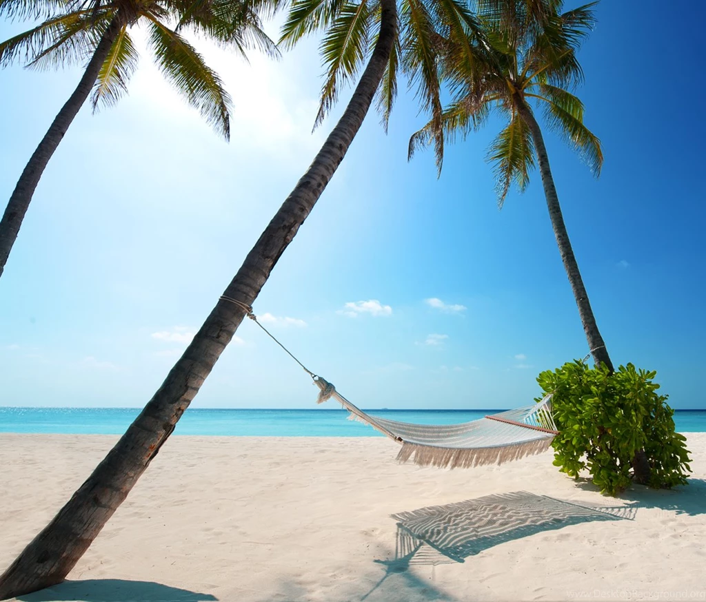 Wallpapers Wednesday A Place In The Sun