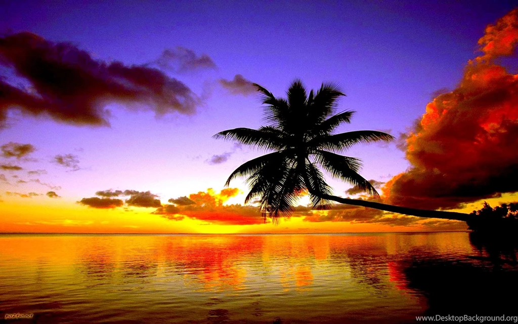 Sunset Hd Wallpapers