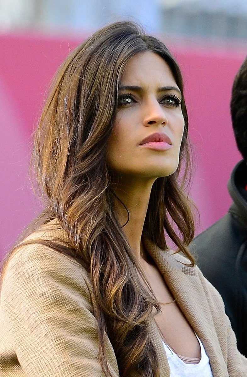 Sara Carbonero World Cup Wag Iker Casillas 2014 : Sport HD Wallpapers