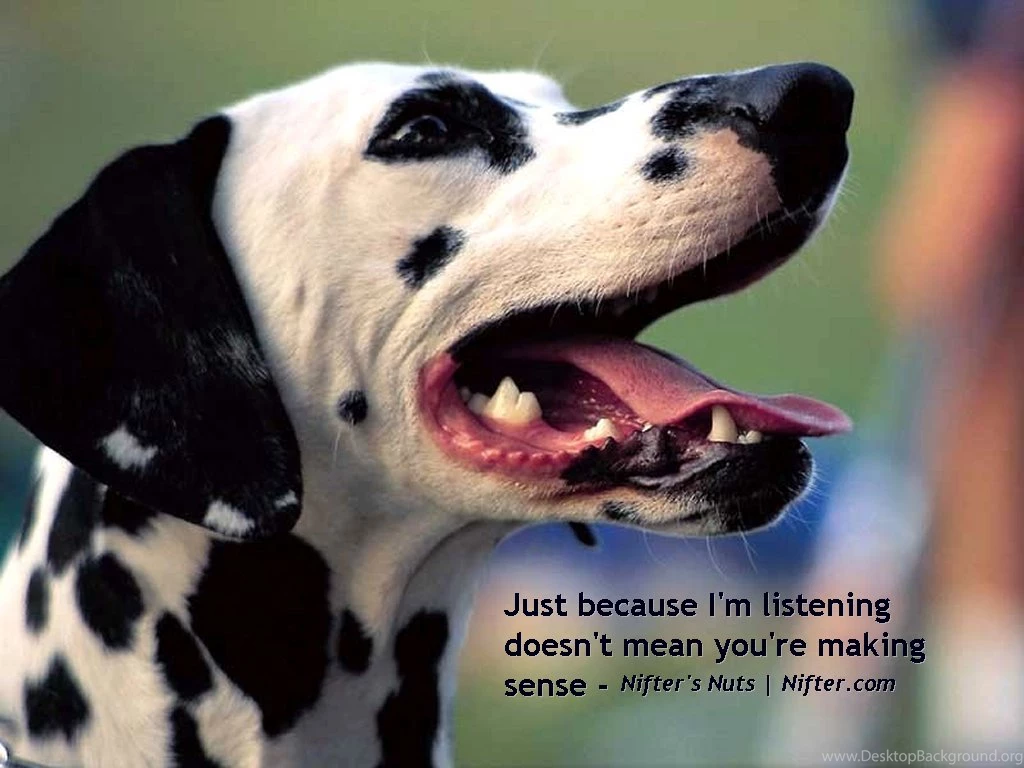 Funny Animals Wallpapers   Animal Pictures With Captions