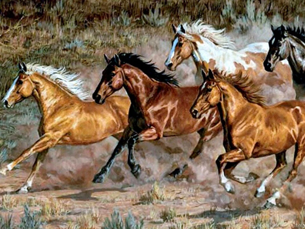 Image.php?src=http://www.gutbilder.com/images/running equine horses f5 4034 background wallpapers.jpg&h=960&w=1280