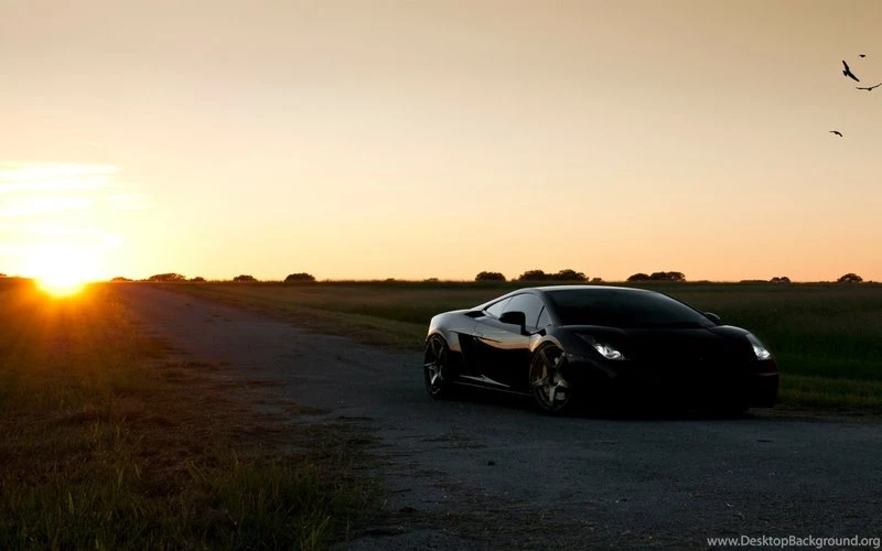 Black Cars Lamborghini Lamborghini Gallardo 1920x1200 Wallpapers ...